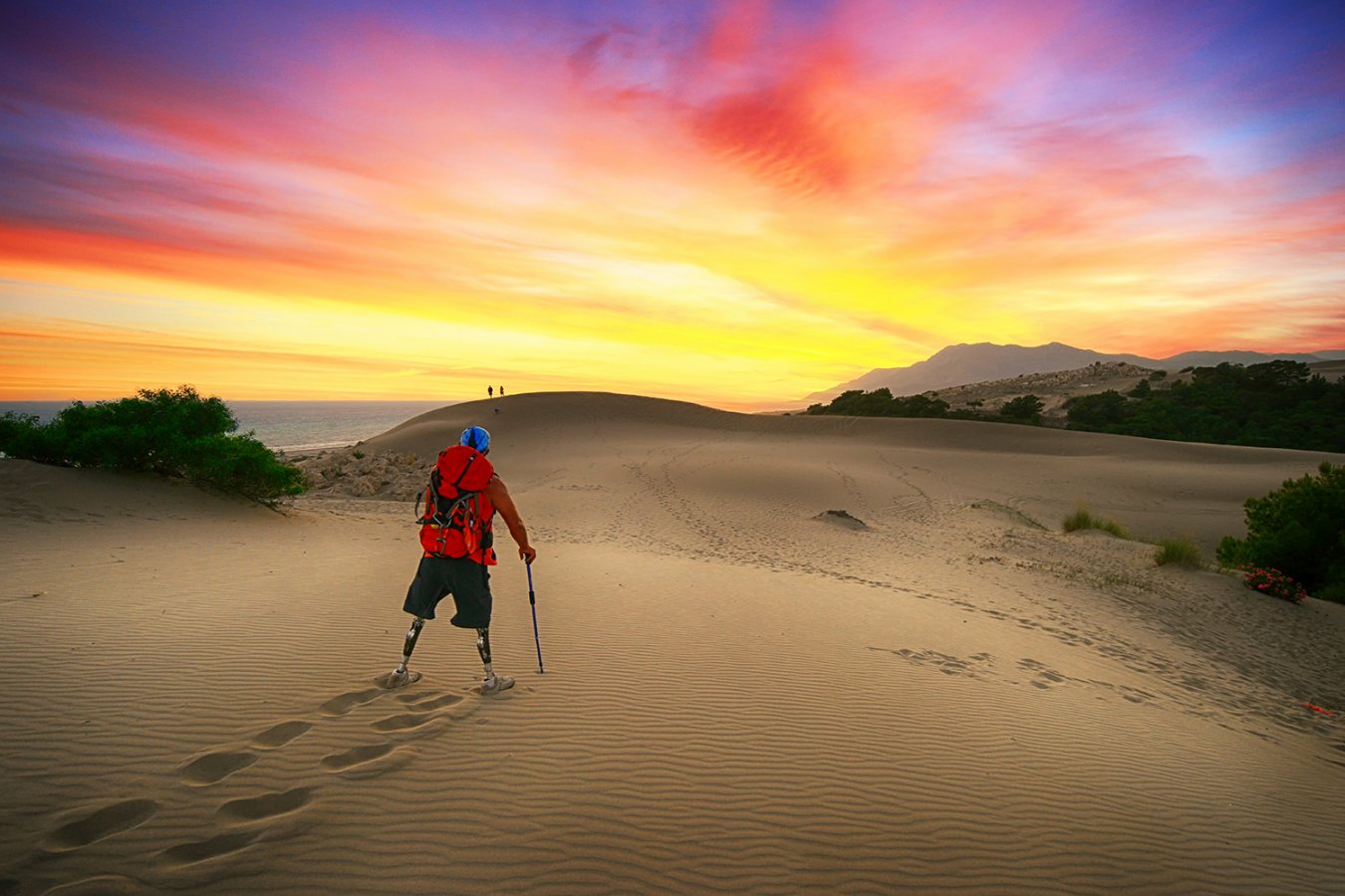 Eğitimlere Nasıl Katılırım ?